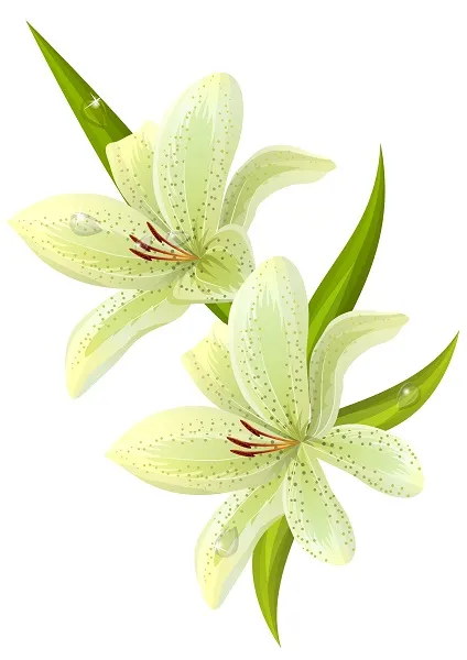 Flowers 172
