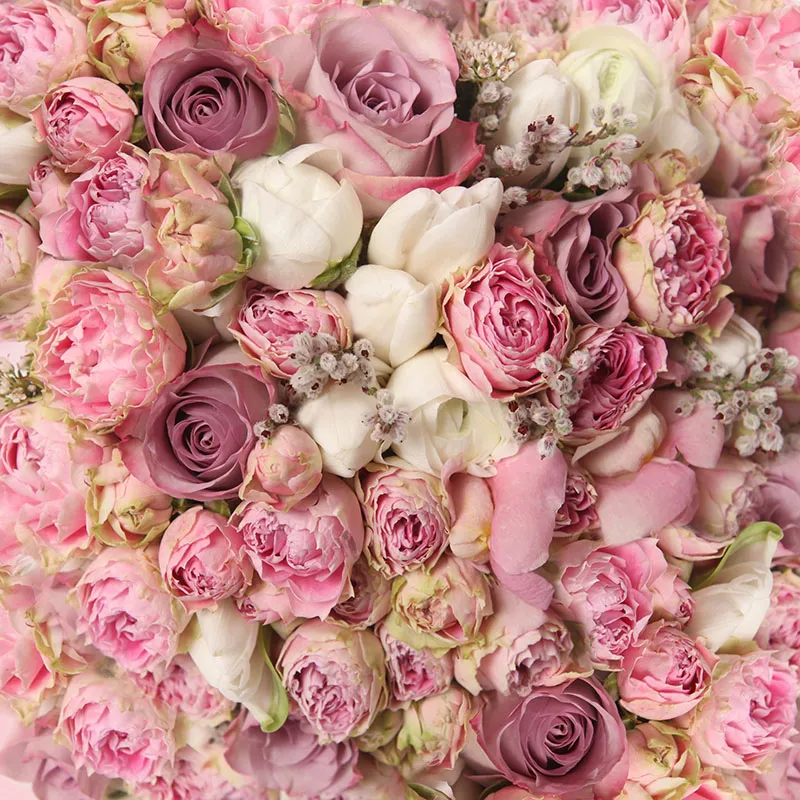 Flowers 460