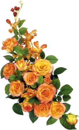 Flowers 161