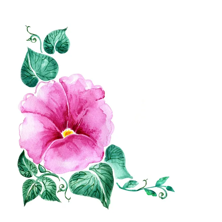 Flowers 229