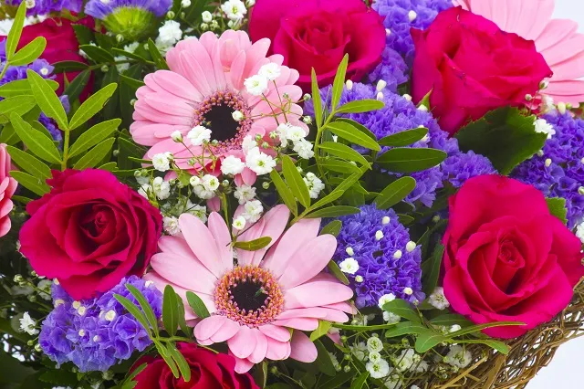 Flowers 280
