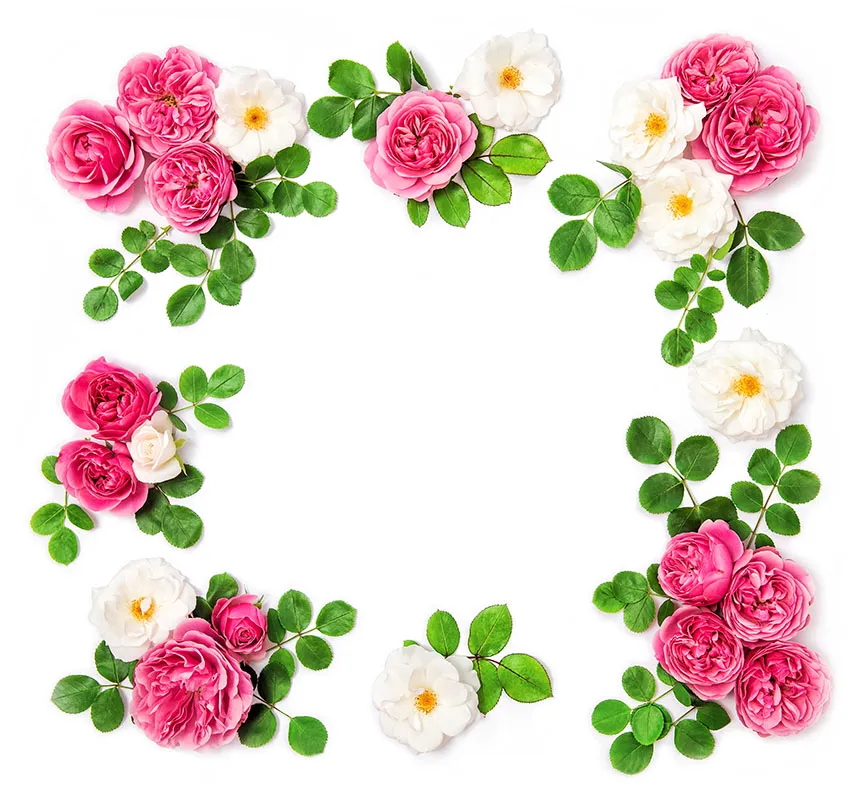 Flowers 461