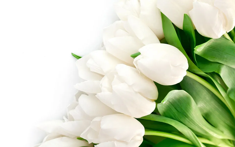 Flowers 405