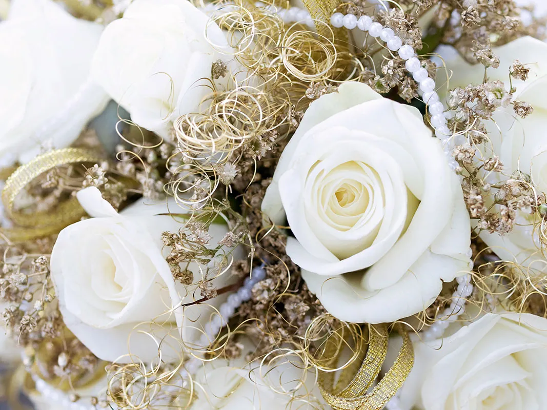 Flowers 376