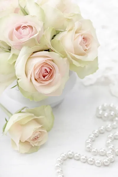Flowers 091