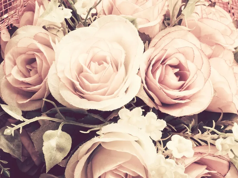 Flowers 090