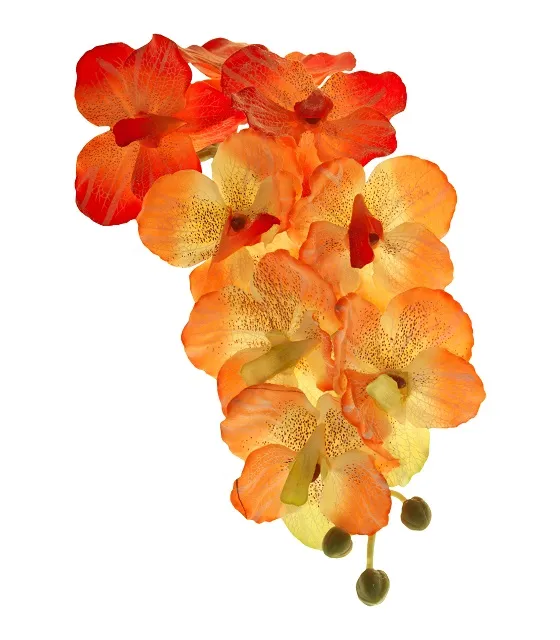 Flowers 330