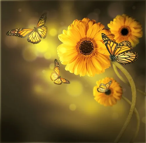 Flowers 266