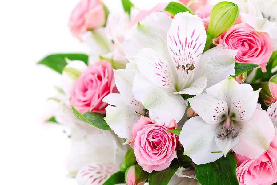Flowers 414