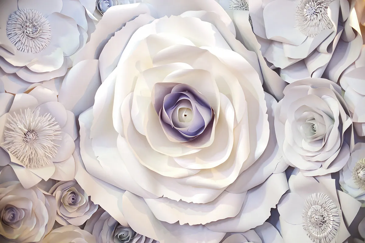 Flowers 425