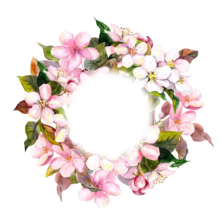 Flowers 009