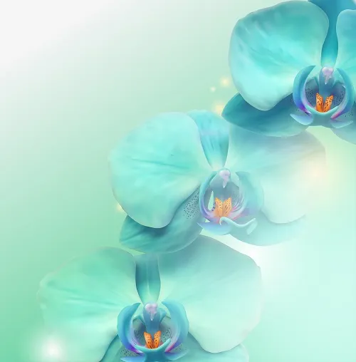 Flowers 047