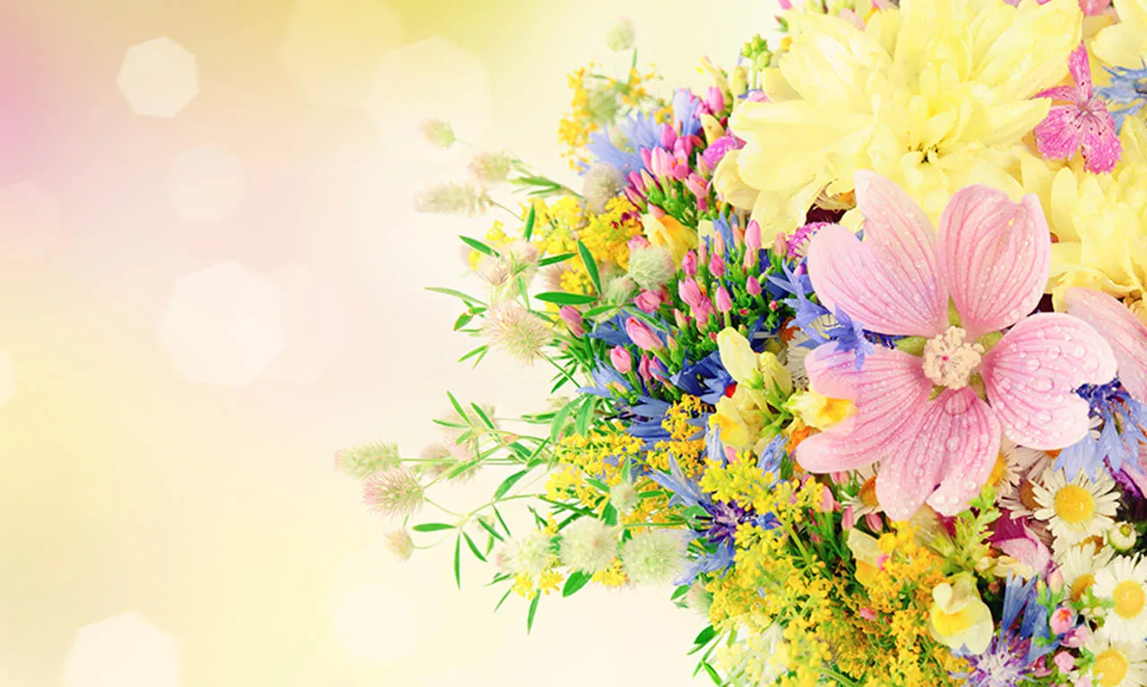 Flowers 594