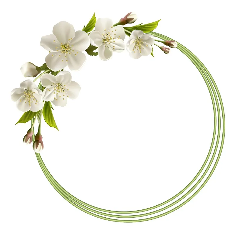 Flowers 209