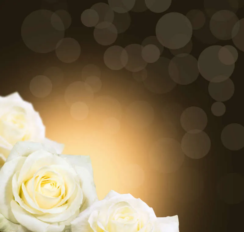 Flowers 131