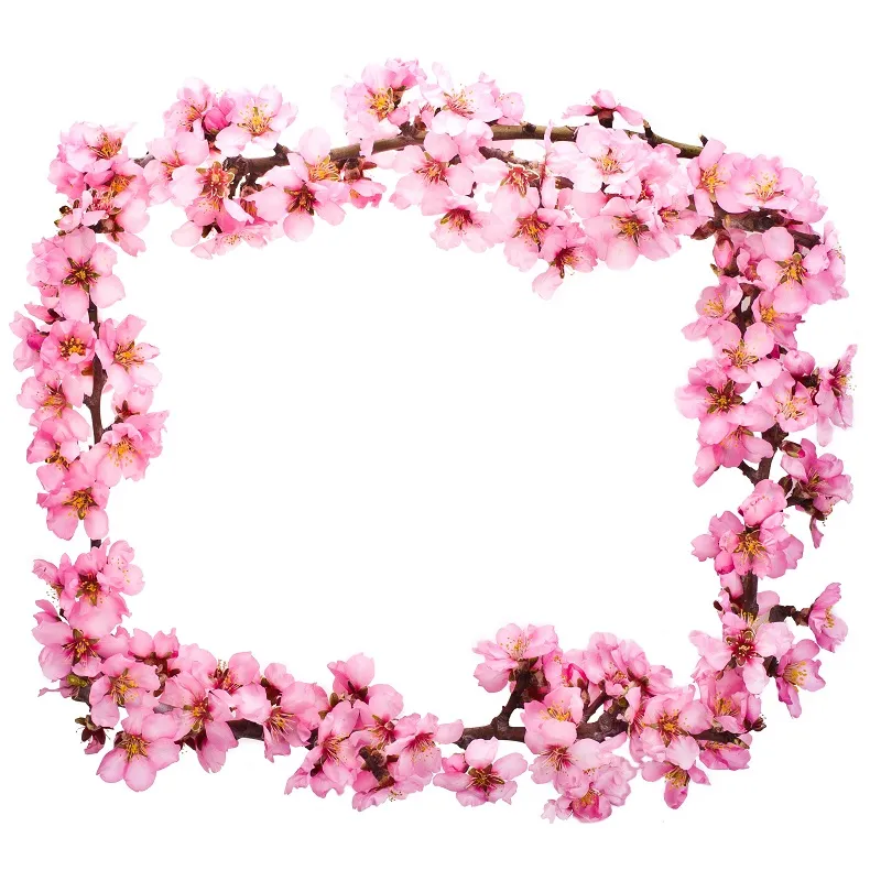 Flowers 210