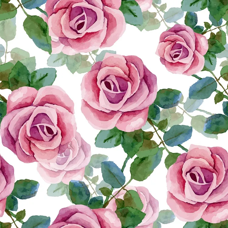 Flowers 217