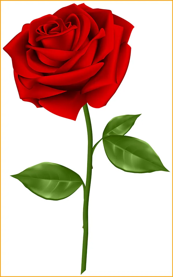 Flowers 491