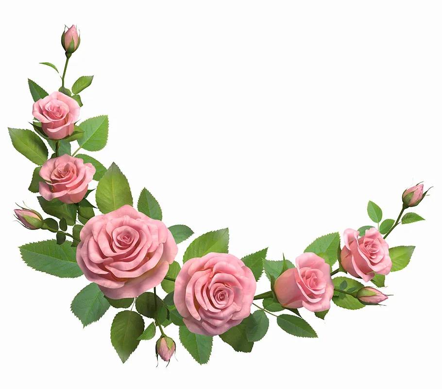 Flowers 505