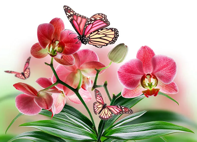 Flowers 351
