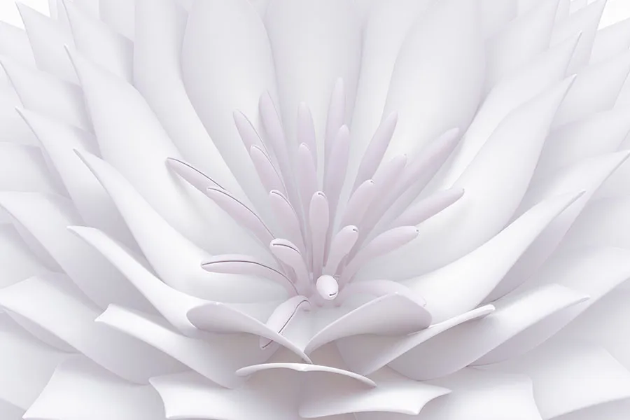 Flowers 566