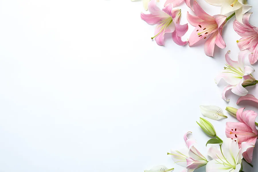 Flowers 587