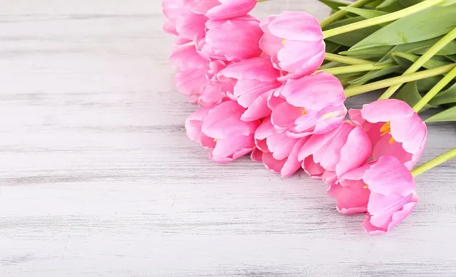 Flowers 182