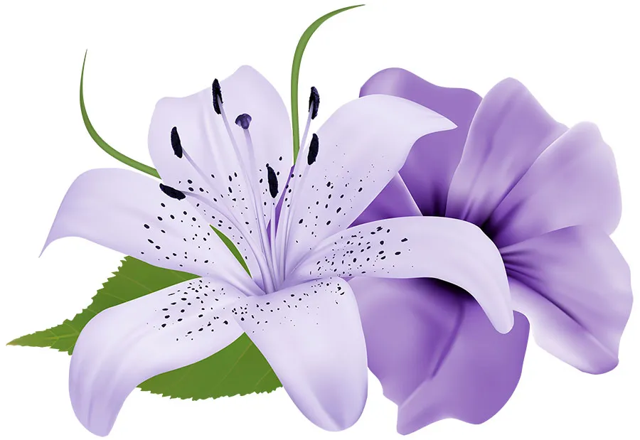 Flowers 439