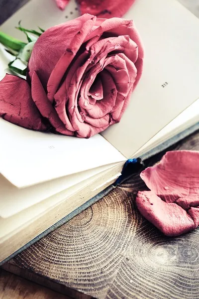 Flowers 074