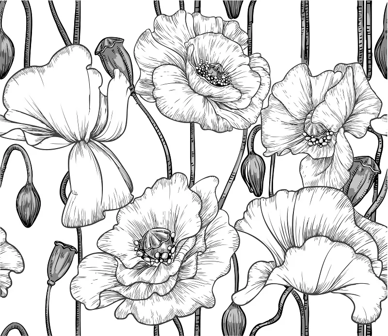 Flowers 224