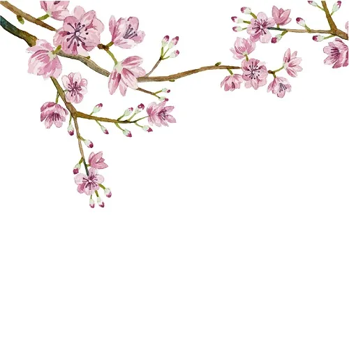 Flowers 337