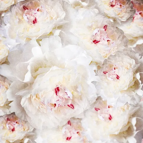 Flowers 303