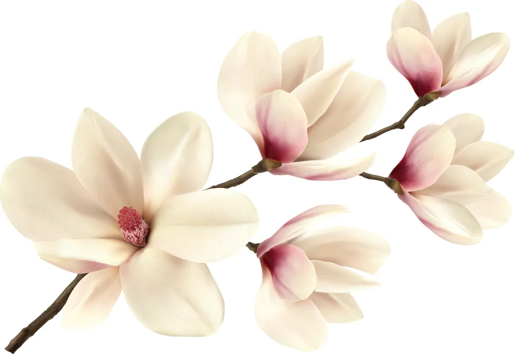 Flowers 416