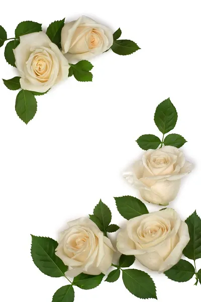 Flowers 152