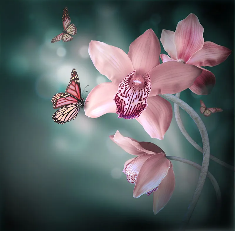 Flowers 446