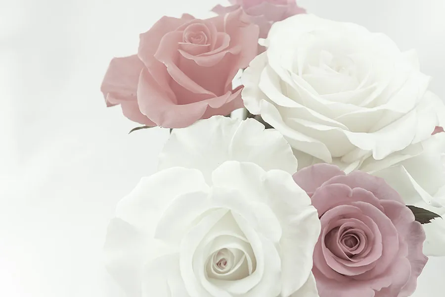 Flowers 561