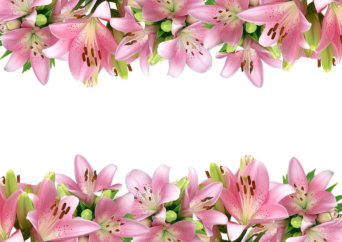 Flowers 518