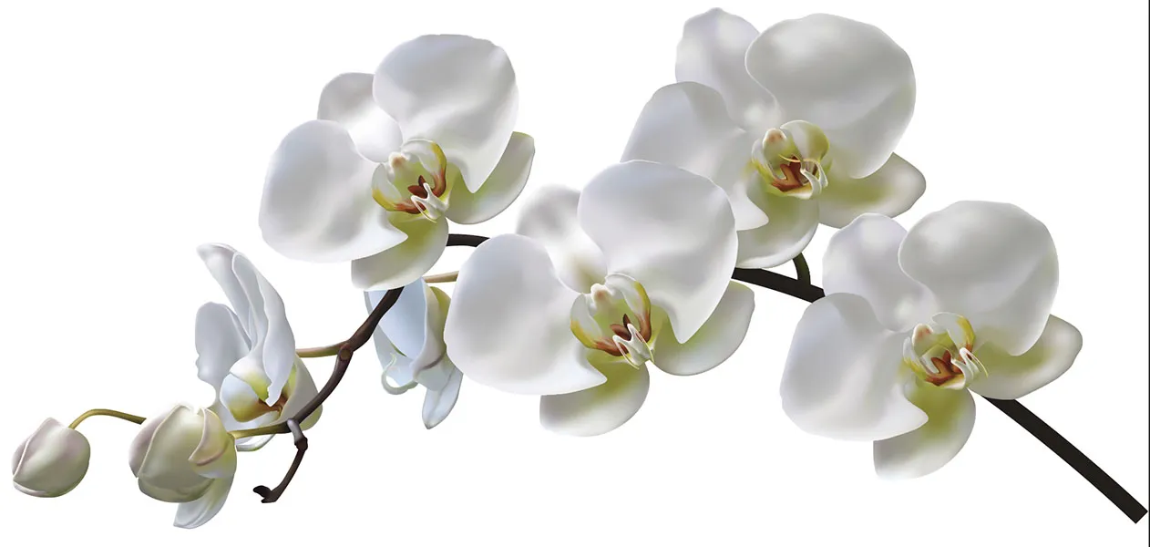 Flowers 515