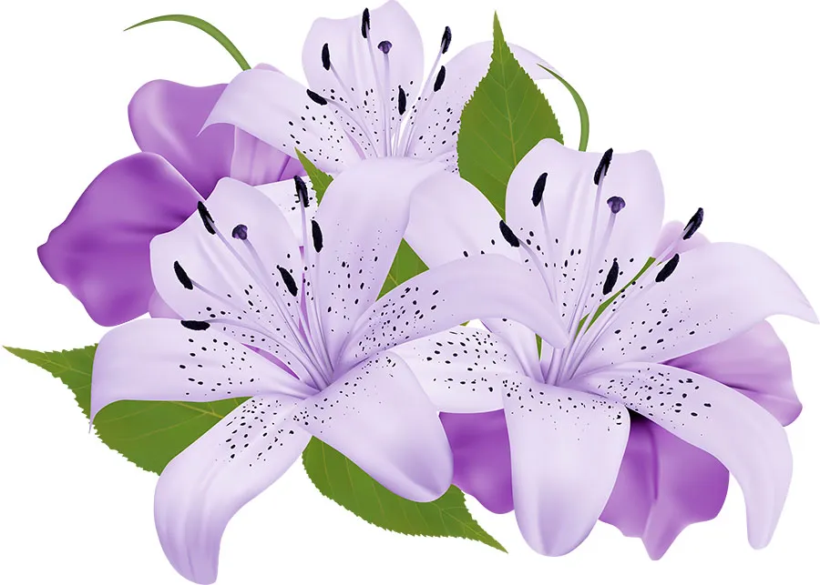 Flowers 440