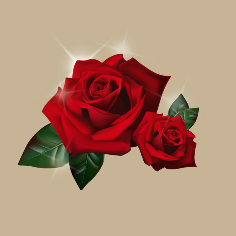 Flowers 476
