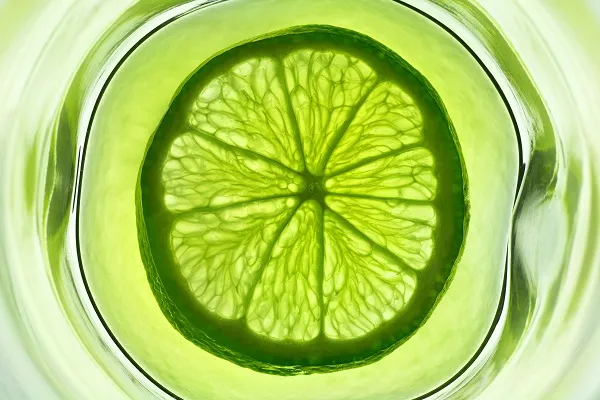 Food 021