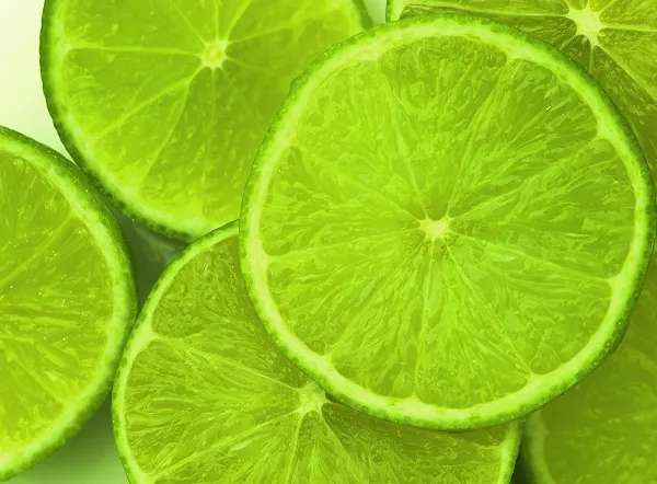 Food 019