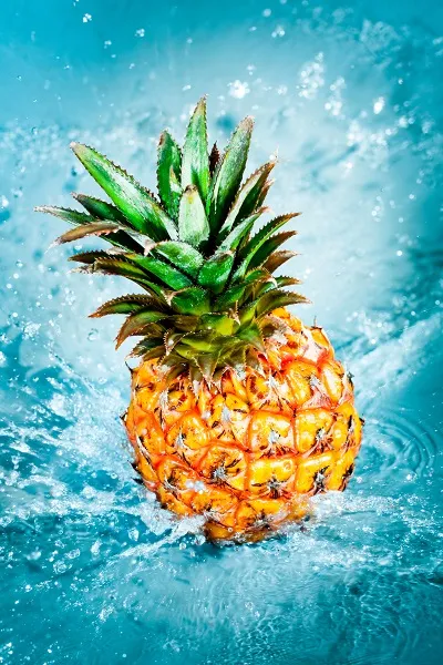 Food 083