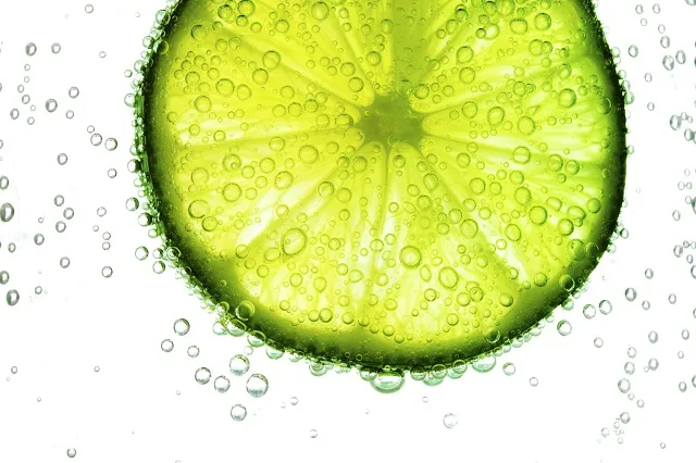 Food 115