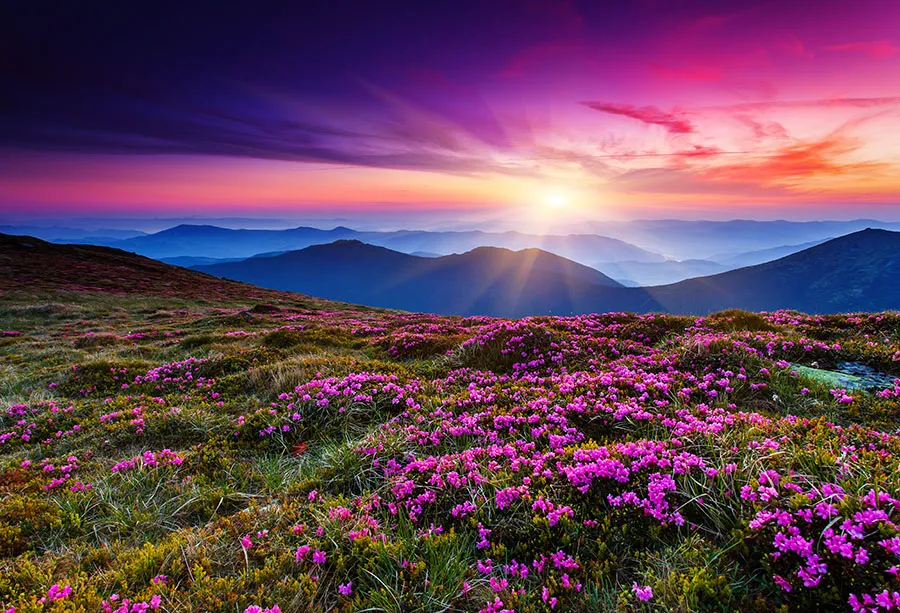 Landscape 160