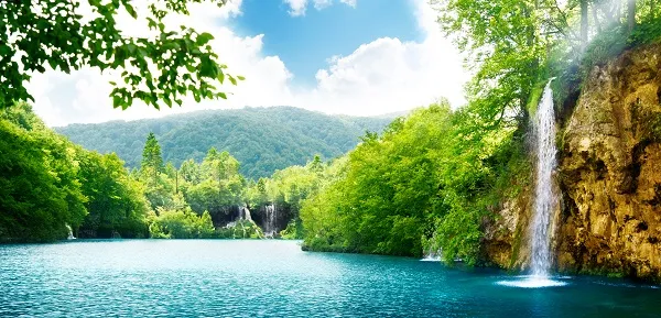Landscape 065