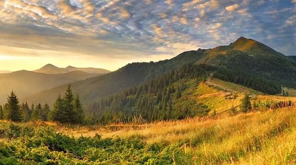 Landscape 030