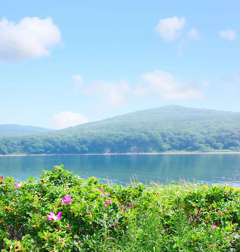 Landscape 122