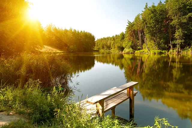 Landscape 089