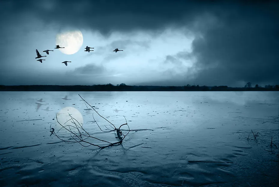 Landscape 105